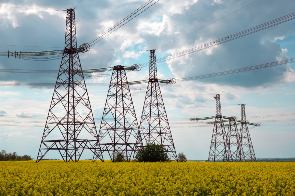 As torres de energia se destacam entre flores amarelas, com linhas transmitindo energia sob céu parcialmente nublado.