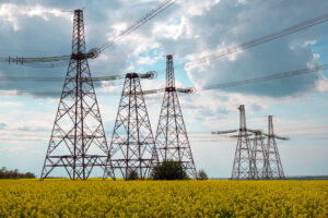 As torres de energia se destacam entre flores amarelas, com linhas transmitindo energia sob céu parcialmente nublado.